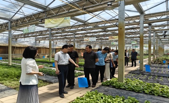 2024年6月27日，中国绿色食品发展中心相关领导莅临农业总公司考察调研_副本.jpg